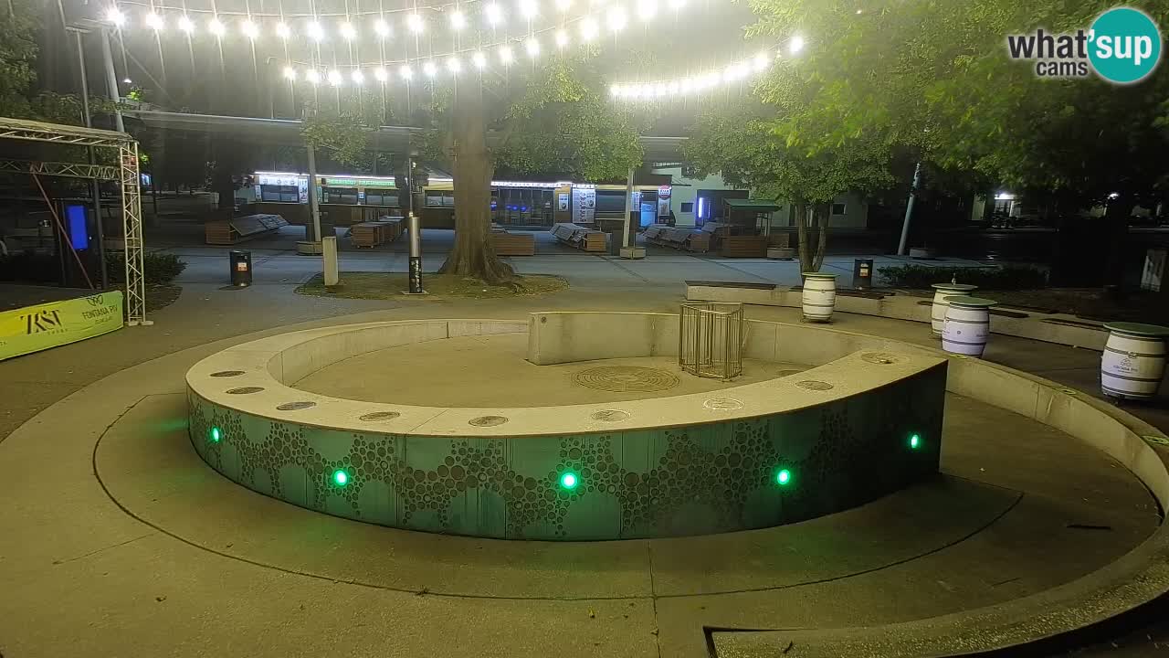Spletna kamera Fontana Piv – Zeleno zlato Žalec