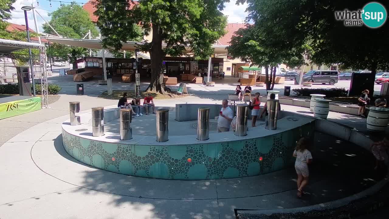 Fontana di birra Webcam – Oro verde – Žalec