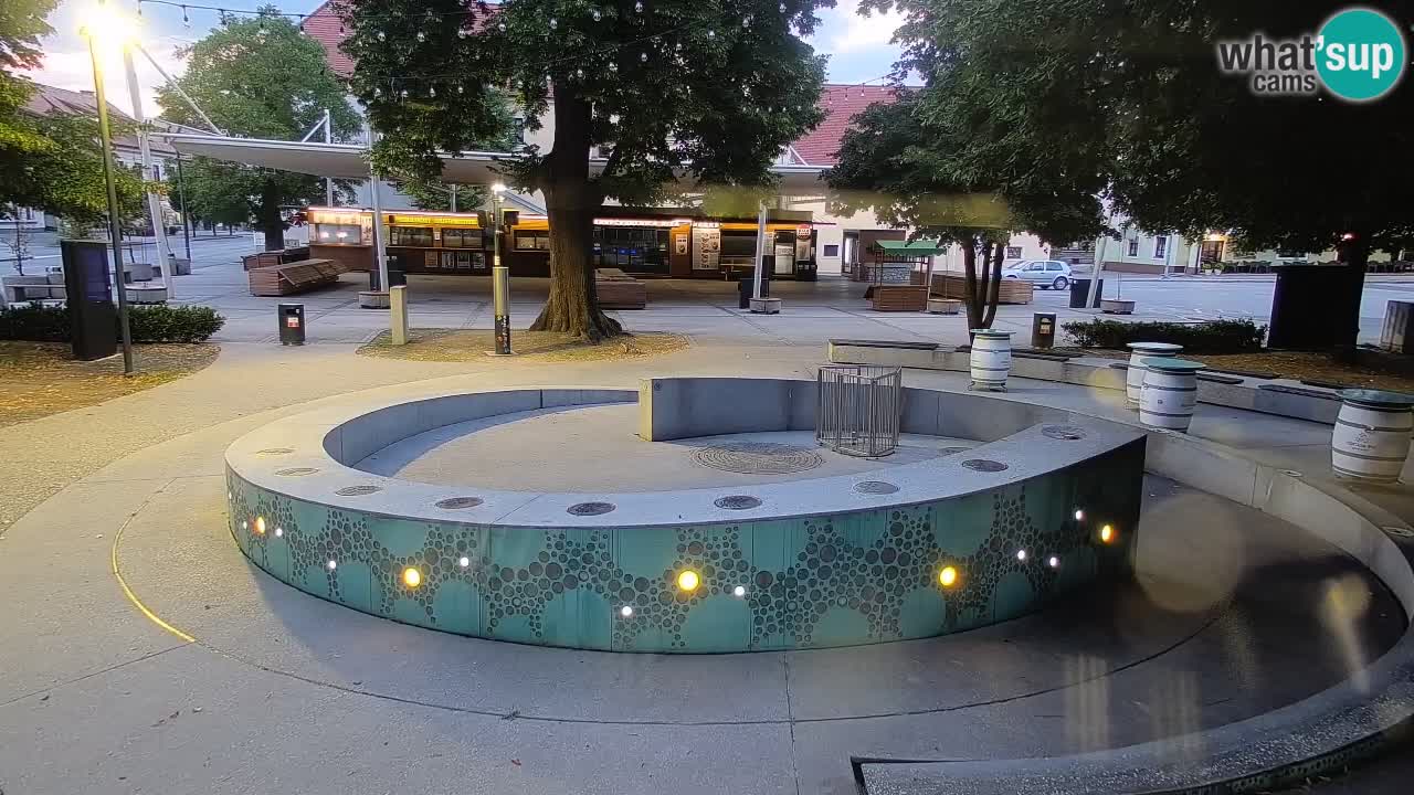 Bier-Springbrunnen Webcam Žalec – Grünen Goldes