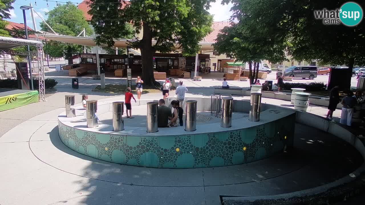 Fontaine à bière LIVE webcam – Or vert – Žalec