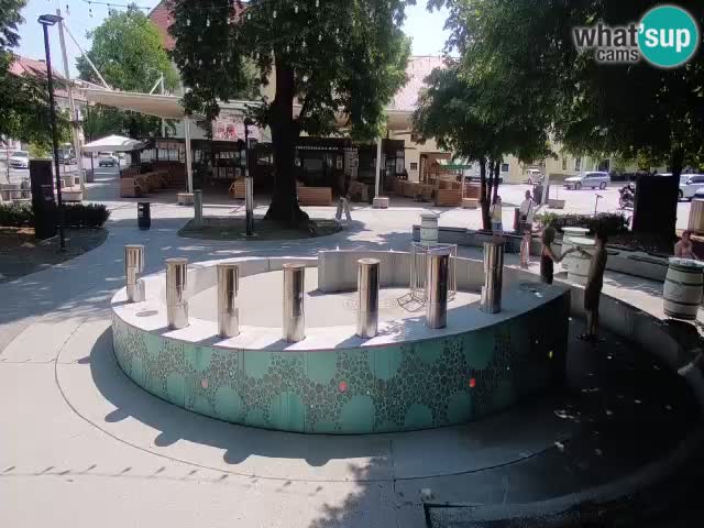 Spletna kamera Fontana Piv – Zeleno zlato Žalec