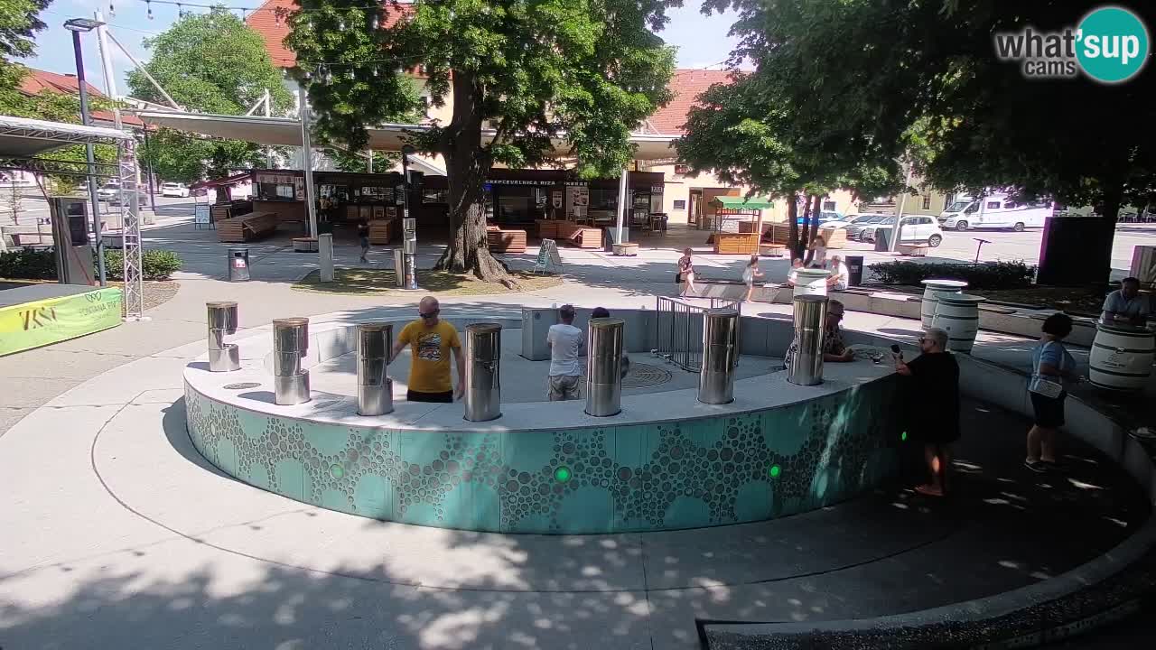 Spletna kamera Fontana Piv – Zeleno zlato Žalec