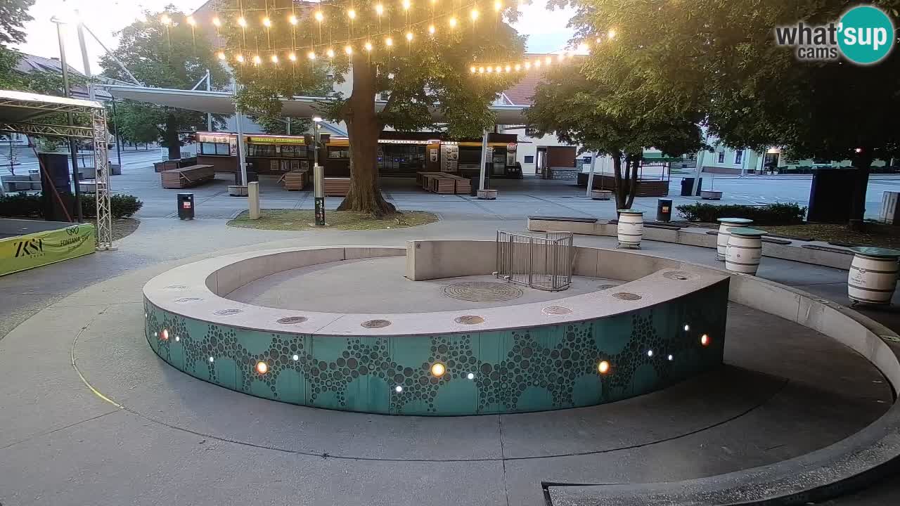 Fontaine à bière LIVE webcam – Or vert – Žalec