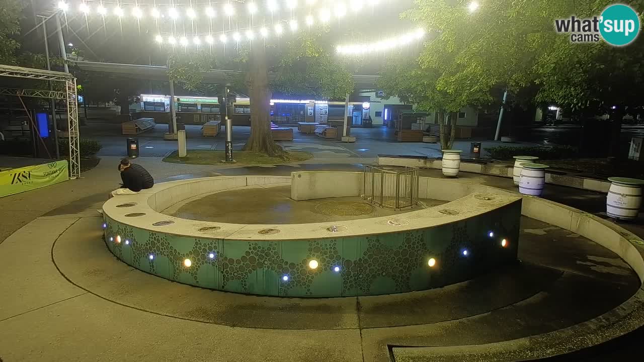 Bier-Springbrunnen Webcam Žalec – Grünen Goldes