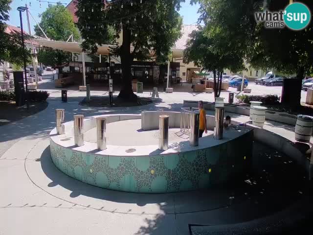 Fontana di birra Webcam – Oro verde – Žalec