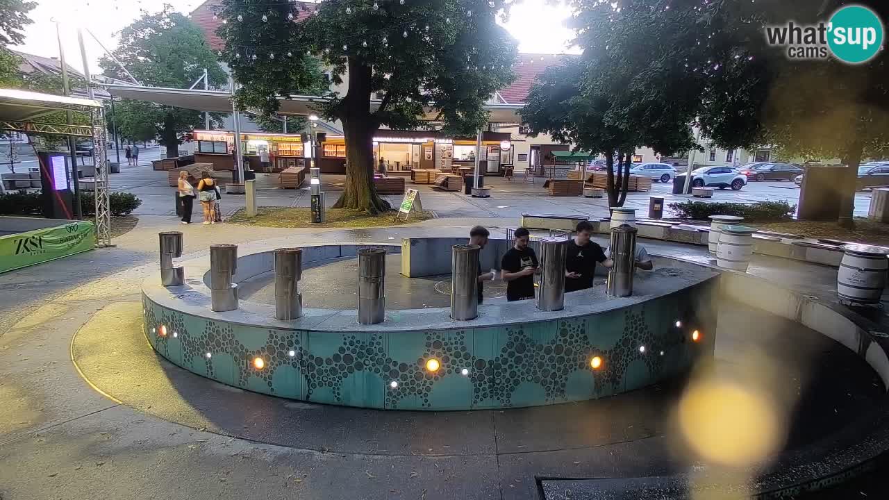 Fontaine à bière LIVE webcam – Or vert – Žalec