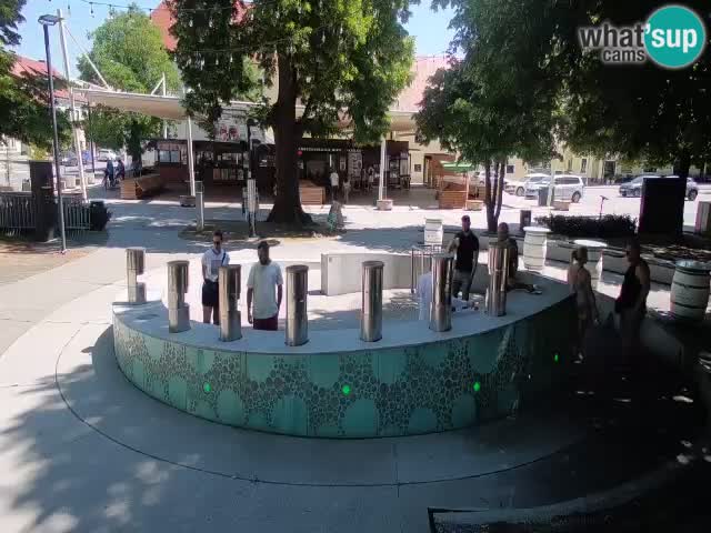 Spletna kamera Fontana Piv – Zeleno zlato Žalec