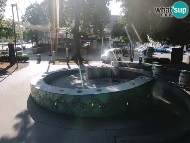 Camera en vivo Fuente de cerveza – Oro verde – Žalec