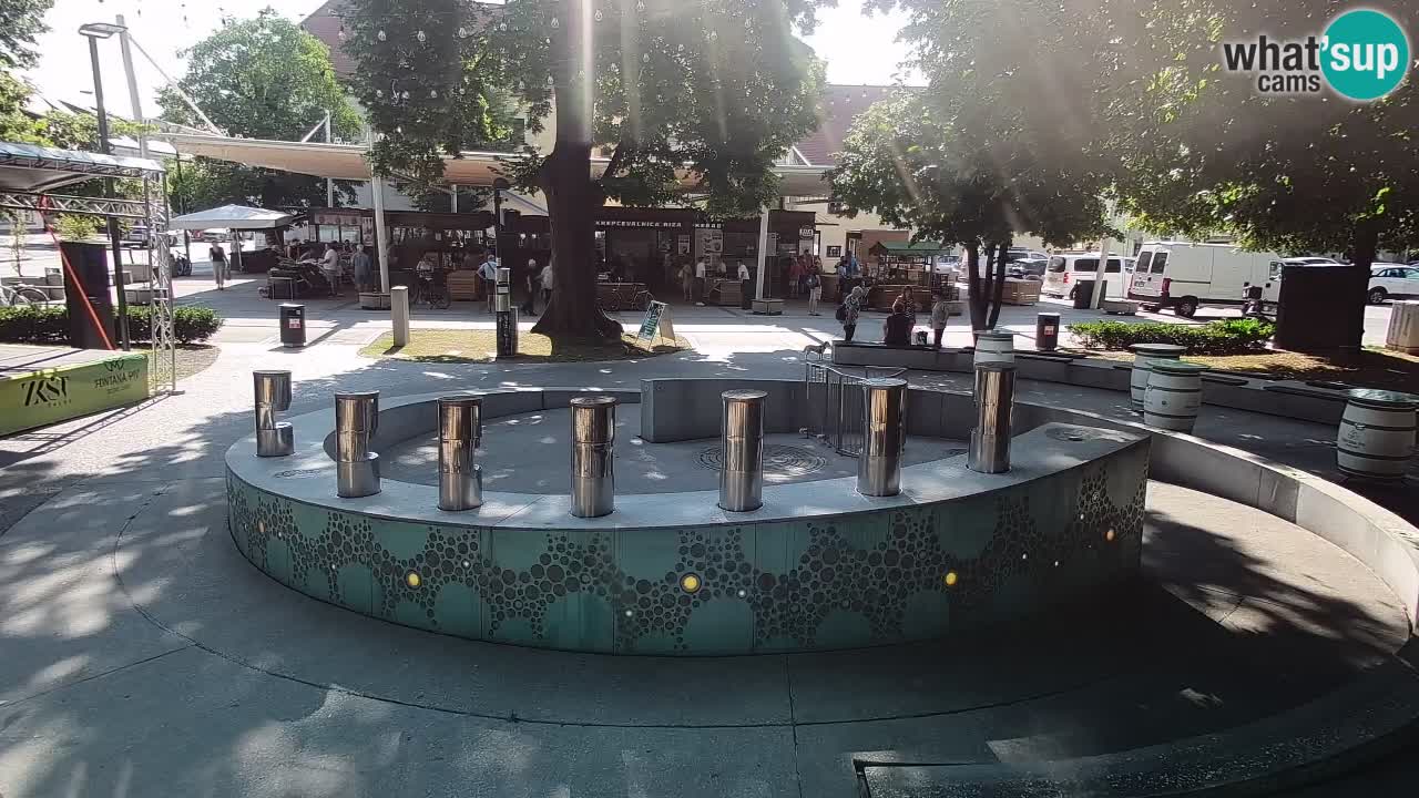 Fontana di birra Webcam – Oro verde – Žalec