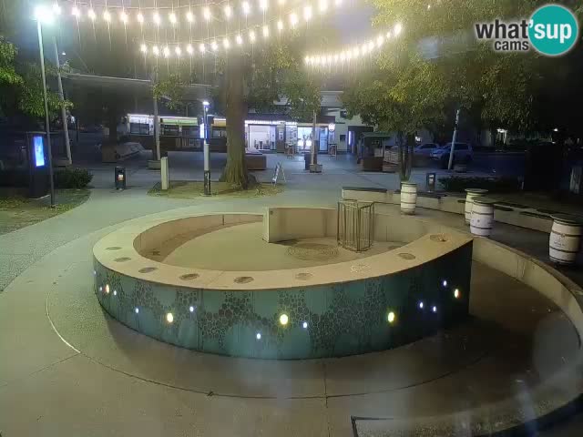 Fontaine à bière LIVE webcam – Or vert – Žalec