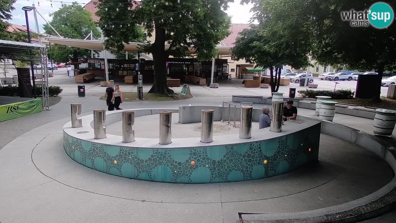 Fontana di birra Webcam – Oro verde – Žalec