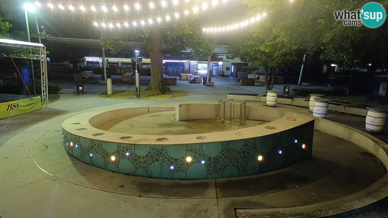 Bier-Springbrunnen Webcam Žalec – Grünen Goldes