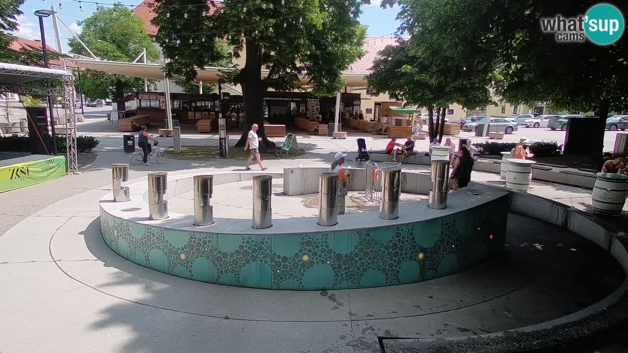 Fontana di birra Webcam – Oro verde – Žalec