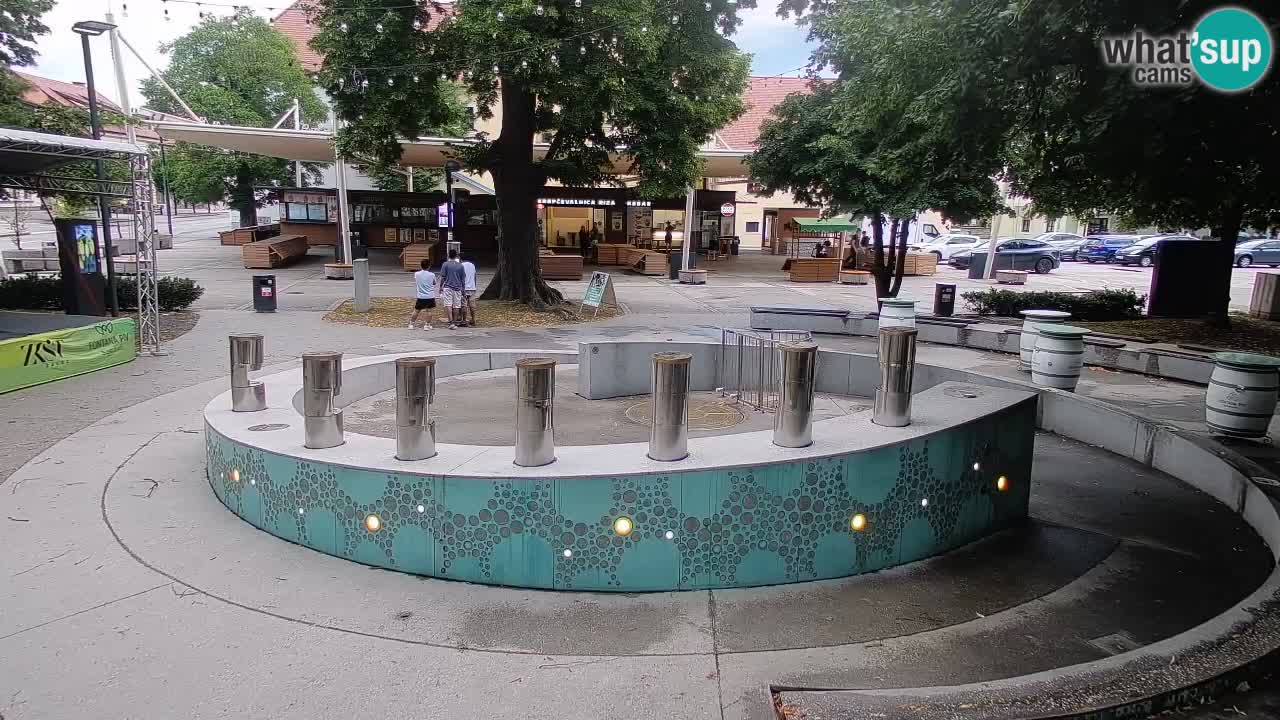 Fontana di birra Webcam – Oro verde – Žalec