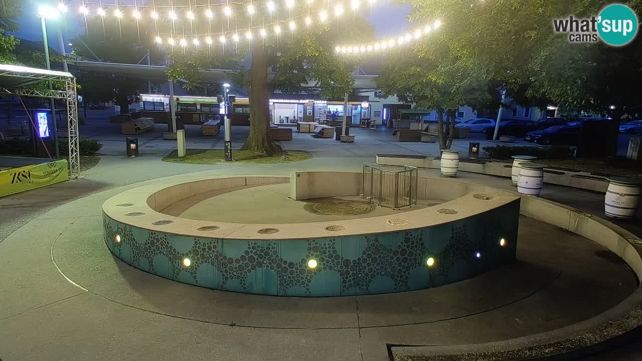 Spletna kamera Fontana Piv – Zeleno zlato Žalec