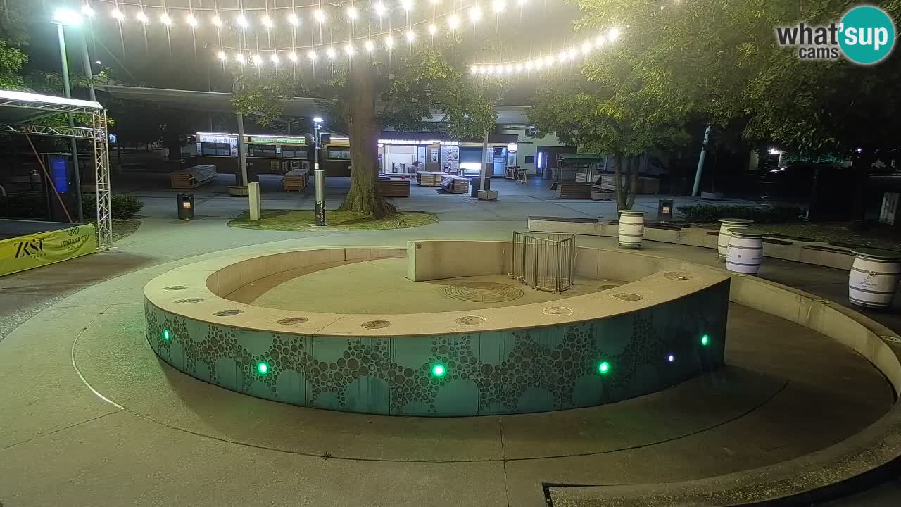 Fontana di birra Webcam – Oro verde – Žalec