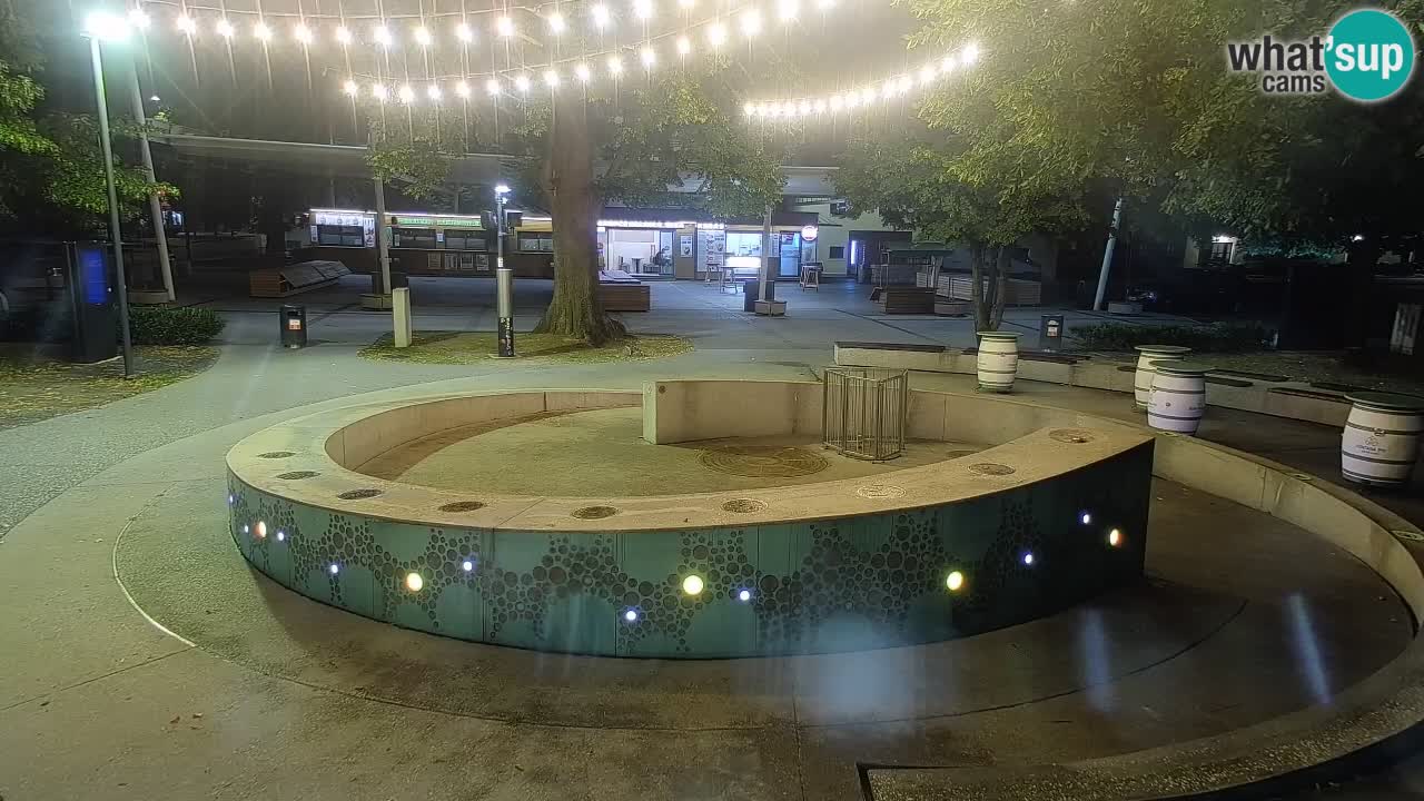 Fontana di birra Webcam – Oro verde – Žalec