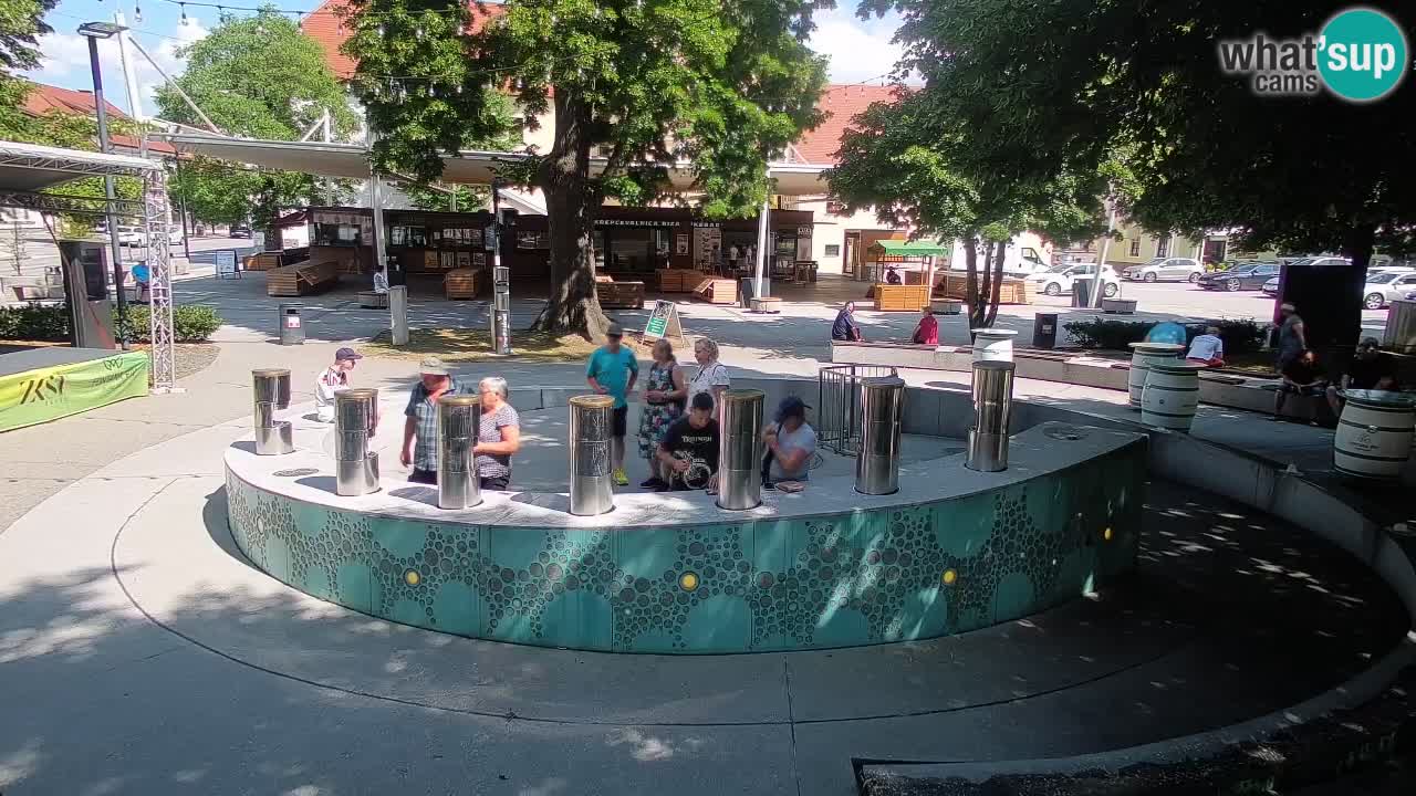 Spletna kamera Fontana Piv – Zeleno zlato Žalec
