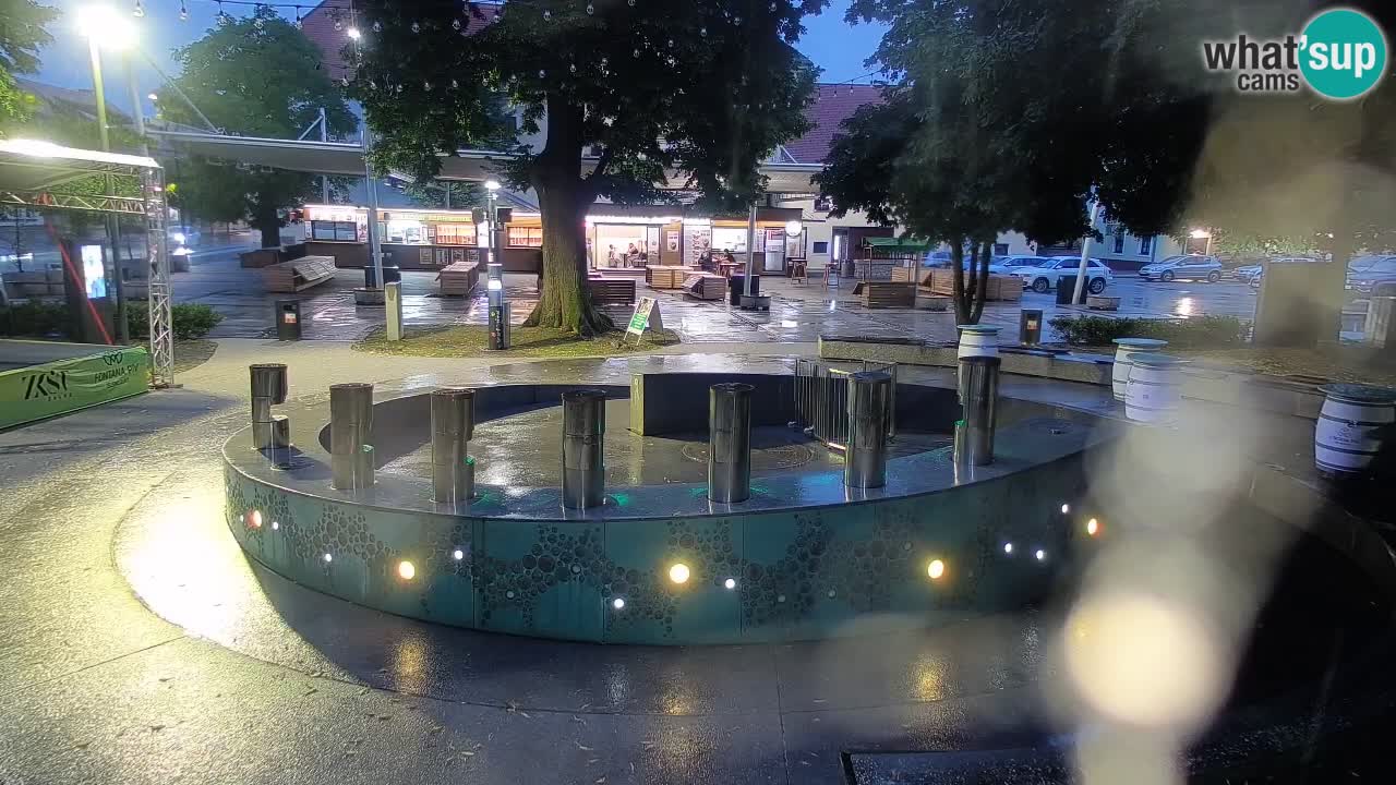Fontaine à bière LIVE webcam – Or vert – Žalec