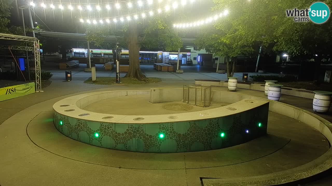 Spletna kamera Fontana Piv – Zeleno zlato Žalec