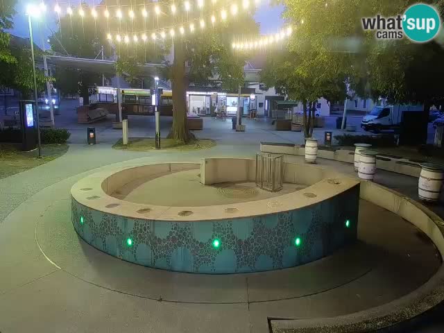 Fontana di birra Webcam – Oro verde – Žalec