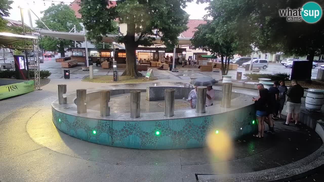 Bier-Springbrunnen Webcam Žalec – Grünen Goldes