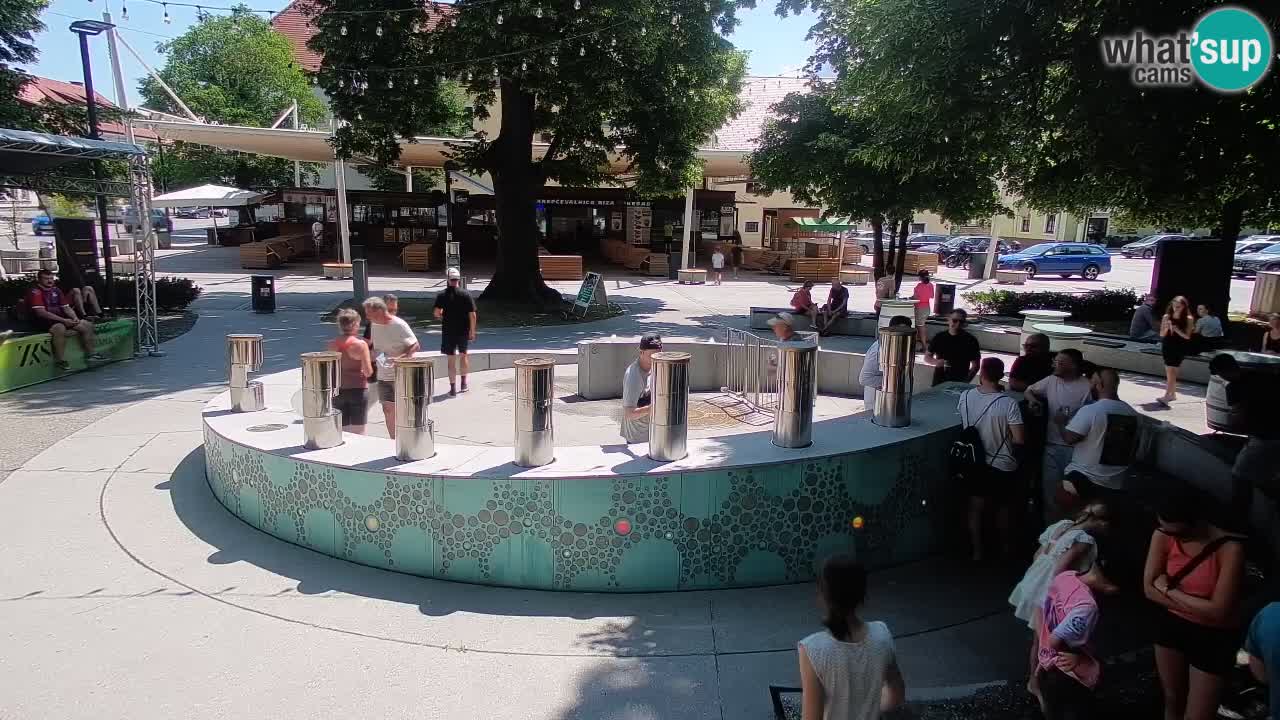 Fontaine à bière LIVE webcam – Or vert – Žalec