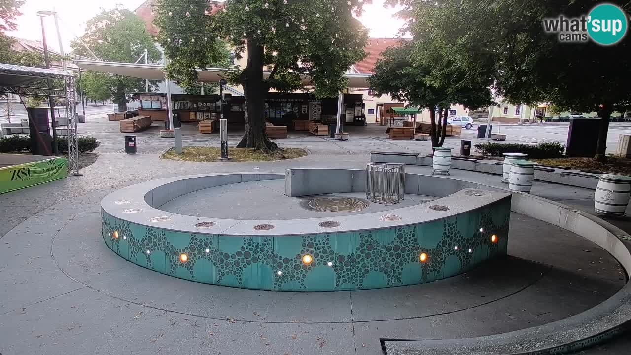 Bier-Springbrunnen Webcam Žalec – Grünen Goldes