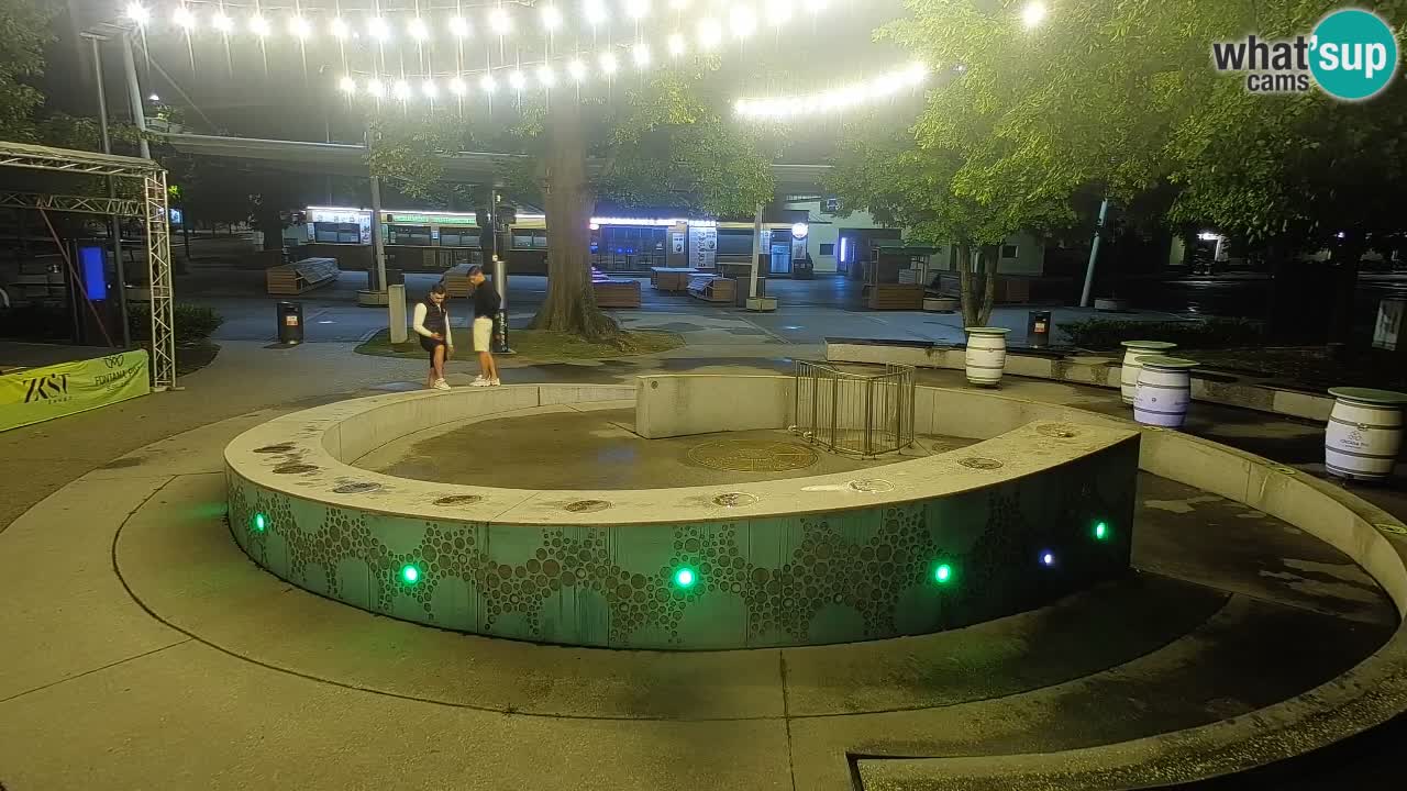 Fontana di birra Webcam – Oro verde – Žalec