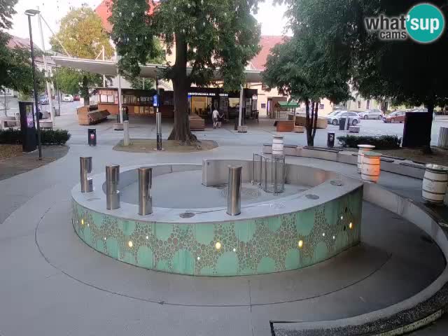Fontaine à bière LIVE webcam – Or vert – Žalec