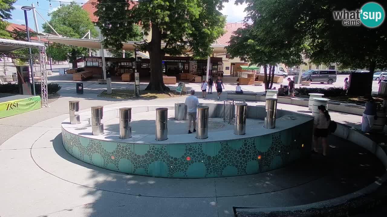 Fontaine à bière LIVE webcam – Or vert – Žalec