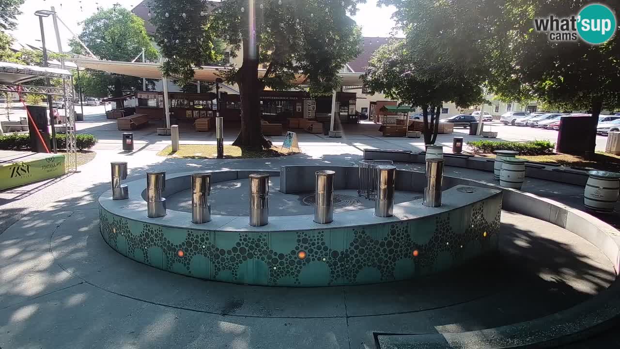 Bier-Springbrunnen Webcam Žalec – Grünen Goldes