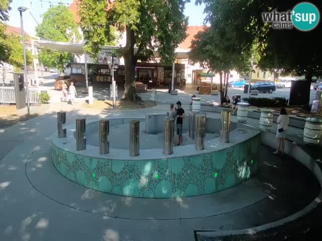 Fontana di birra Webcam – Oro verde – Žalec