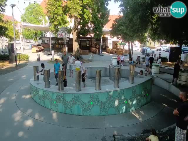 Fontana di birra Webcam – Oro verde – Žalec