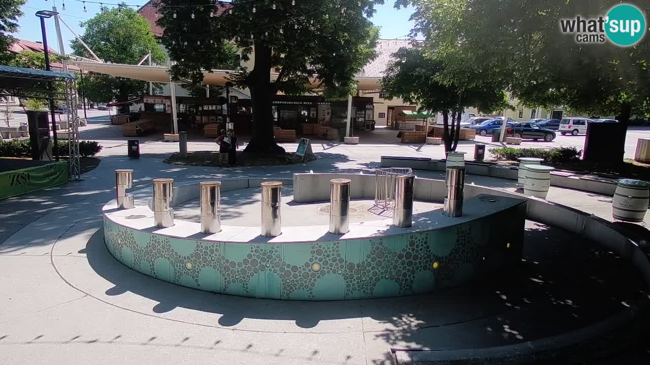 Fontaine à bière LIVE webcam – Or vert – Žalec