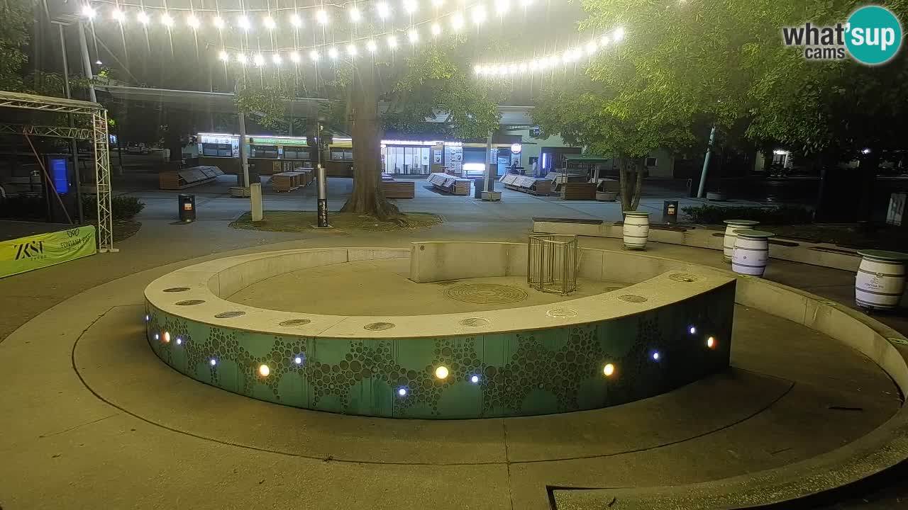 Fontaine à bière LIVE webcam – Or vert – Žalec