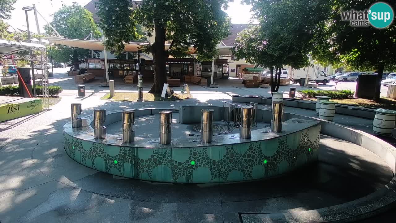 Bier-Springbrunnen Webcam Žalec – Grünen Goldes