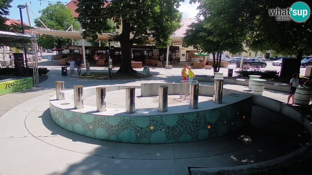 Fontana di birra Webcam – Oro verde – Žalec