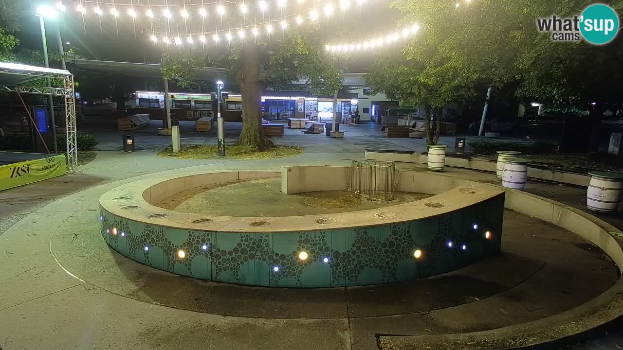 Fontaine à bière LIVE webcam – Or vert – Žalec
