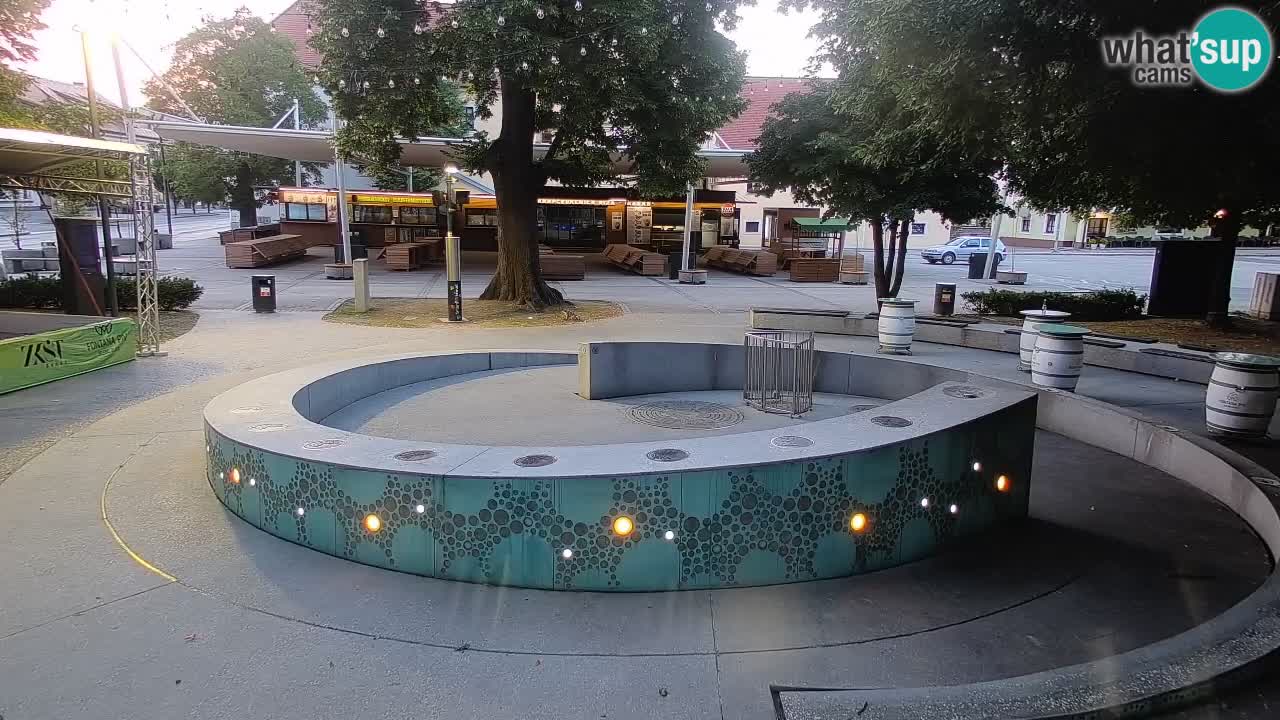 Spletna kamera Fontana Piv – Zeleno zlato Žalec