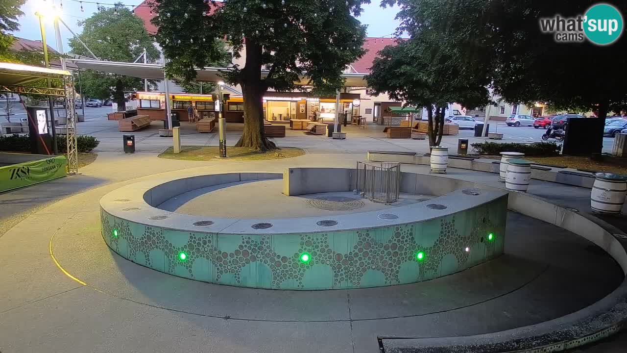 Fontana di birra Webcam – Oro verde – Žalec