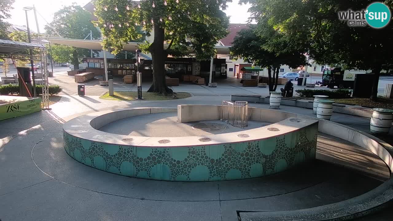 Bier-Springbrunnen Webcam Žalec – Grünen Goldes