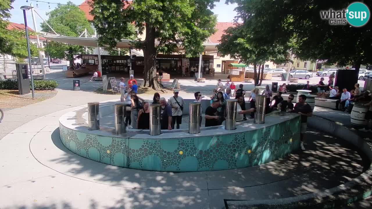 Bier-Springbrunnen Webcam Žalec – Grünen Goldes