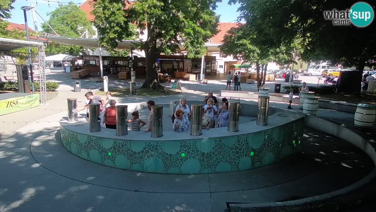 Spletna kamera Fontana Piv – Zeleno zlato Žalec