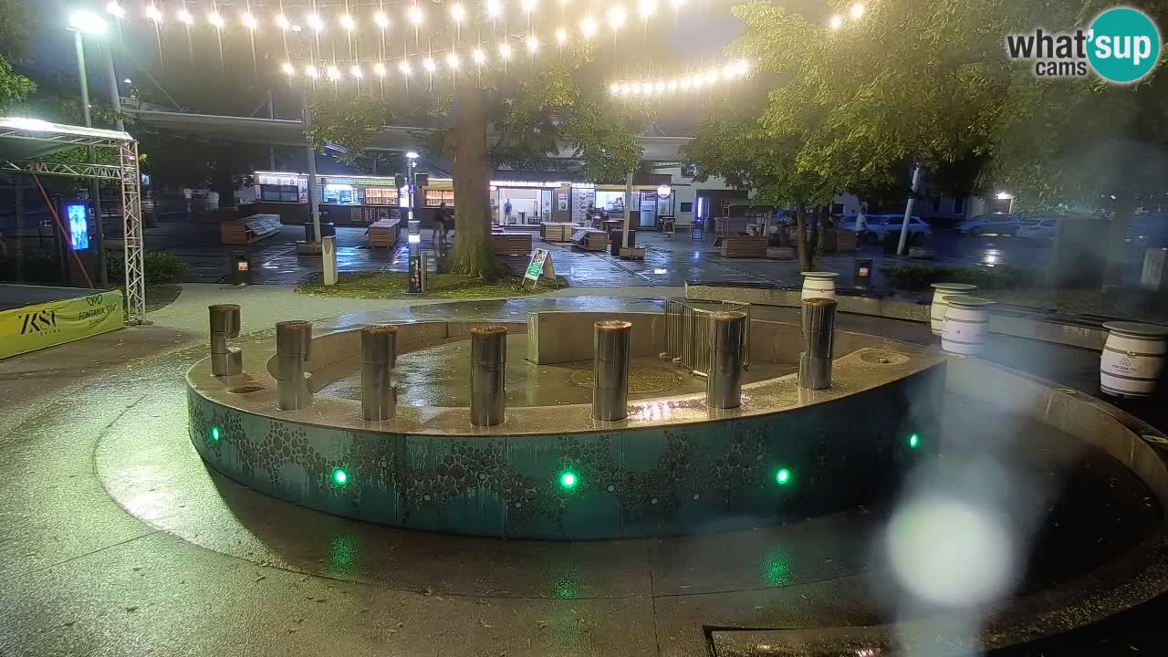Fontaine à bière LIVE webcam – Or vert – Žalec