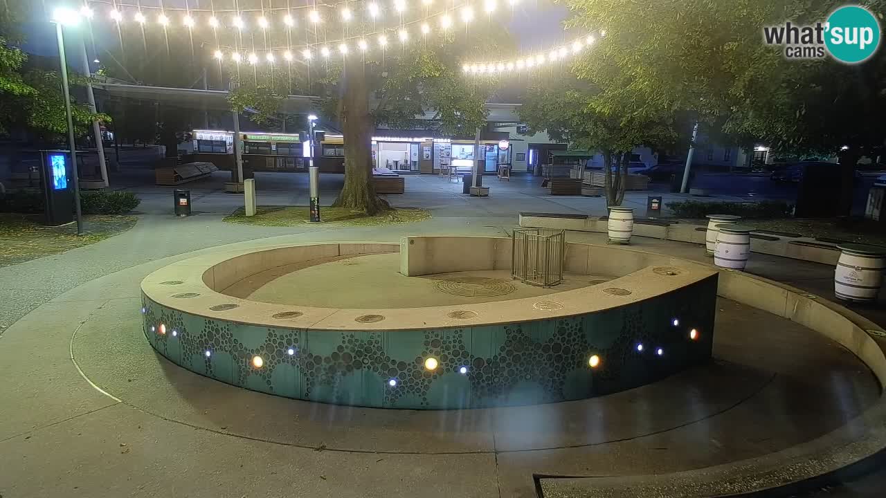 Camera en vivo Fuente de cerveza – Oro verde – Žalec
