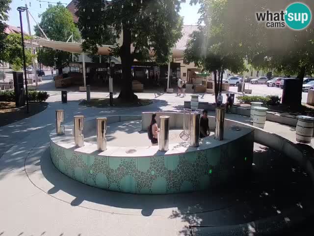 Fontaine à bière LIVE webcam – Or vert – Žalec
