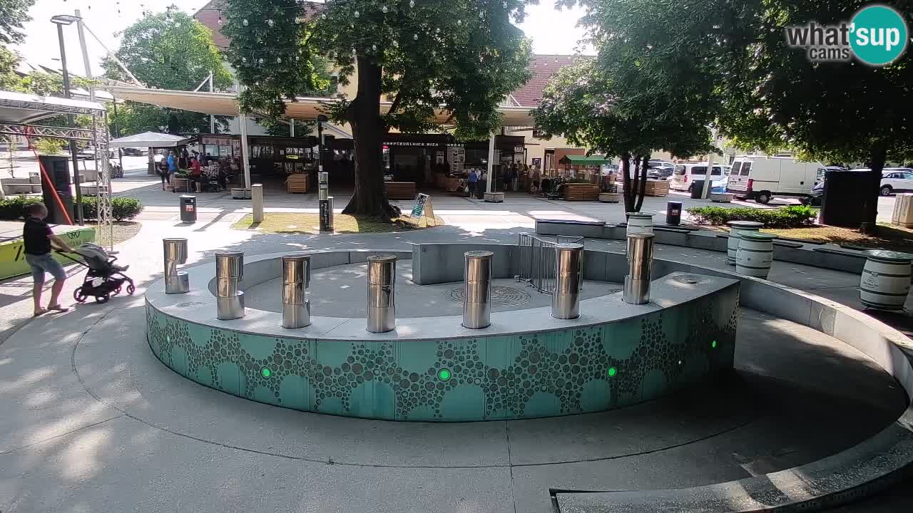 Camera en vivo Fuente de cerveza – Oro verde – Žalec