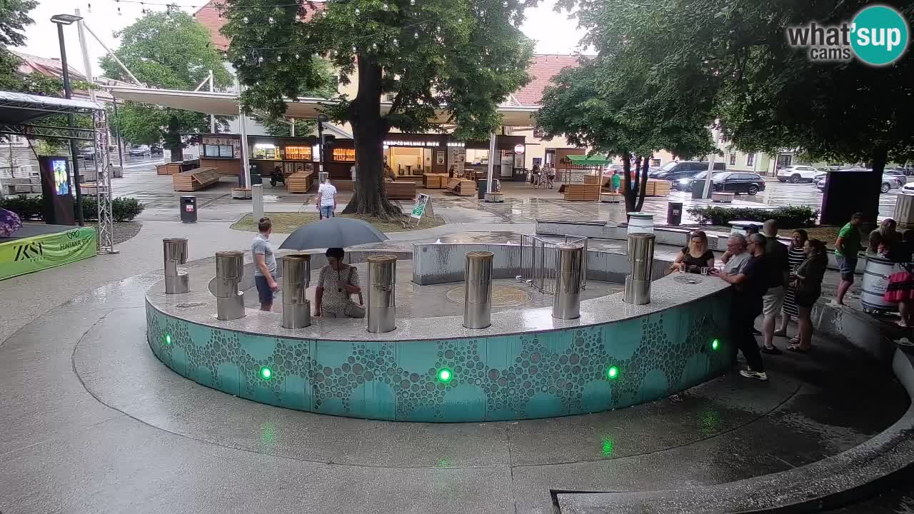 Camera en vivo Fuente de cerveza – Oro verde – Žalec