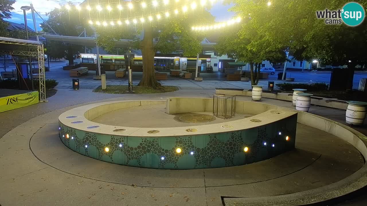 Fontana di birra Webcam – Oro verde – Žalec